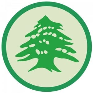 Orotex Liquidation logo